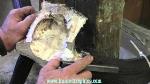 skull-horns-taxidermy-seb